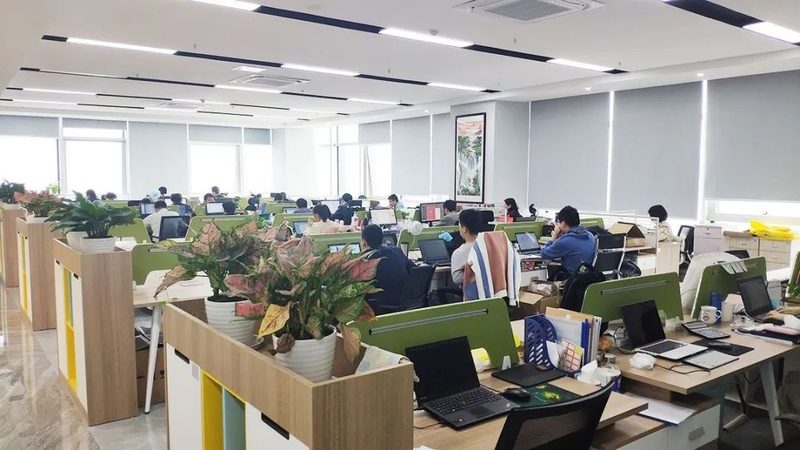 小标题：教育机构IT运维现状